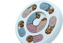 Dog Puzzle Toy Review: Is It Worth the Investment for IQ Training & Mental Enrichment?