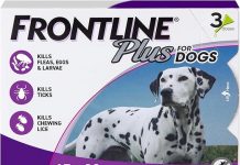 Frontline Plus Flea & Tick Treatment for Large Dogs Review: Is It Worth the Investment?