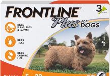 Frontline Plus for Small Dogs Review: Effective Flea & Tick Protection or Overhyped?