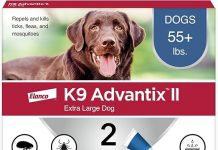 K9 Advantix II XL Review: Is It the Best Flea, Tick & Mosquito Protection for Large Dogs?
