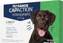 PetArmor CAPACTION Flea Treatment Review: Fast, Effective, But Is It Worth It for Your Dog?