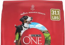 Purina ONE Dry Dog Food Lamb & Rice Formula Review: Is It Worth the Price for Your Pet?