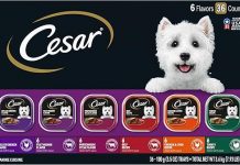 CESAR Adult Wet Dog Food Review: Is It Worth the Hype for Your Pup’s Taste Buds?