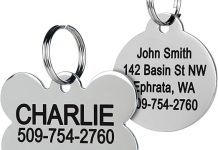 GoTags Stainless Steel Pet ID Tags Review: Durable, Customizable, Worth the Investment?