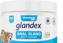 Glandex Anal Gland Soft Chews Review: Are They Worth It for Your Dog’s Digestive Health?