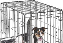 MidWest Homes for Pets iCrate Review: Is It the Ultimate Dog Crate for Your Pet?
