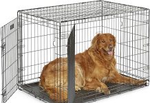 MidWest iCrate Dog Crate Review: Is This Enhanced Design Worth It for Your Pet?