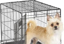 MidWest iCrate Dog Crate Review: Is This Enhanced Design Worth It for Your Pet?