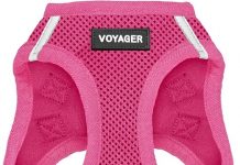 Voyager Step-in Air Dog Harness Review: Is It Worth the Hype for Small & Medium Pets?