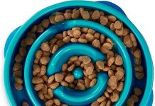 Outward Hound Fun Feeder Slo Bowl Review: Is It the Perfect Solution for Fast Eaters?