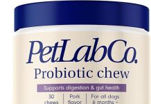 PetLab Co. Probiotics for Dogs Review: Is It Worth the Hype for Digestive Health?