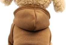 Jecikelon Winter Dog Hoodie Review: Cozy, Stylish & Perfect for Small Dogs Like Chihuahuas