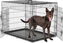 Sweetcrispy Large Dog Crate Review: Is This the Best Choice for Your Pet’s Comfort & Safety?