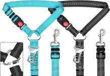 Removable Dog Seat Belt Harness Review: Is It the Ultimate Travel Safety Solution?