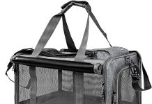 Pet Carrier Review: Is This Soft-Sided Carrier the Best Choice for Your Large Cat or Puppy?