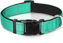 Joytale Reflective Dog Collar Review: Comfortable, Durable & Perfect for Medium Dogs