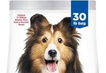 Hill’s Science Diet Sensitive Stomach & Skin Dog Food Review: Worth the Investment?