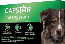 Capstar Flea Treatment Review: Fast-Acting Relief for Dogs 25+ lbs – Worth the Investment?