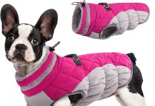 FUAMEY Dog Coat Review: Is This Waterproof, Reflective Cold Weather Coat Worth It?