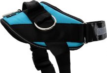 ShawnCo Essential Dog Harness Review: Is It the Best No-Pull Solution for Your Dog?
