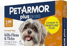 PetArmor Plus Review: Is It the Ultimate Flea & Tick Solution for Small Dogs?