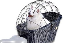 Wicker Handmade Bicycle Luggage Rack Dog/Cat Carrier Review: Is It Worth the Ride?
