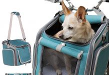 Dog Bike Basket Review: Is This the Perfect Ride for Your Small Dog or Cat?