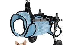Dog Wheelchair Review: Is It Worth the Investment for Pets with Disabled Back Legs?