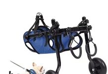 Dog Wheelchair for Back Legs Review: Is It Worth the Investment for Your Pet’s Mobility?