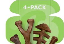 Benebone Medium 4-Pack Dog Chew Toys Review: Durable, Effective for Aggressive Chewers
