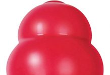 KONG Classic Dog Toy Review: Is It Worth the Hype for Large Dogs? Durability & Fun Tested