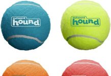 Outward Hound Squeaker Ballz Fetch Dog Toy Review: Worth It for Fun & Durability?