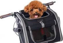 Dog Bike Basket Review: Is This Expandable Pet Carrier Worth the Ride for Your Pup?
