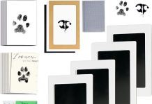 Inkless Paw Print Kit Review: A Mess-Free, Heartfelt Keepsake for Pet Lovers