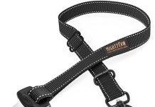 Mighty Paw Dog Car Safety Belt Review: Is It the Ultimate Pet Protection for Your Car?