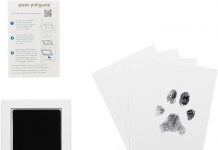 Green Pollywog Paw Print Kit Review: Is It the Perfect Keepsake for Your Pet?
