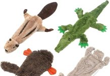 Best Pet Supplies 2-in-1 Stuffless Squeaky Dog Toy Review: Durable, Fun & Worth the Price?