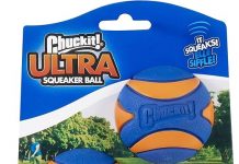 Chuckit! Ultra Squeaker Ball Review: Is It Worth the Hype for Your Dog’s Playtime?