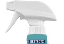 Rocco & Roxie Stain & Odor Eliminator Review: Does It Really Banish Pet Odors & Stains?