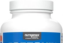 Nutramax Cosequin Joint Health Supplement Review: Does It Really Boost Your Dog’s Mobility?