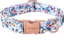 Unique Style Paws Dog Collar Review: Durable, Stylish & Worth the Investment for All Dogs