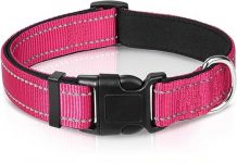 Joytale Reflective Dog Collar Review: Is It Worth the Comfort & Safety for Your Dog?