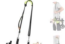 Adjustable Dog Wheelchair Review: Is It Worth It for Paralyzed & Injured Dogs?