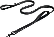 Heavy Duty Dog Leash Review: Extra Control & Comfort for Medium to Large Dogs