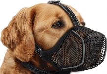 Dog Muzzle Review: Comfortable, Breathable & Adjustable Solution for Training and Grooming