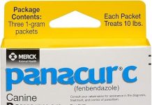 Panacur C Canine Dewormer Review: Is It Worth It for Your Dog’s Health?