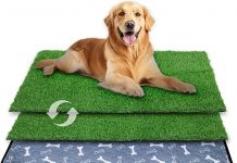 35×22.6in Large Dog Grass Pad Review: Is It the Ultimate Indoor Potty Solution?