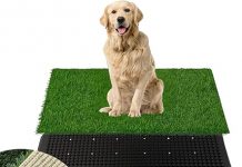 FluffyDream Dog Grass Pad Review: Is This 3-Layered Potty Solution Worth the Investment?
