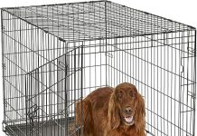 New World 42-Inch Dog Crate Review: Is the Leak-Proof Pan & Patented Features Worth It?