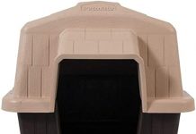 Petmate Aspen Pet Outdoor Dog House Review: Is It Worth the Investment for Small Dogs?